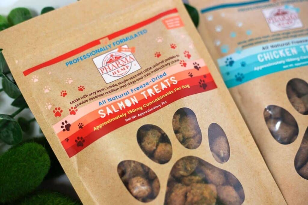 Chien senior : les signes à surveiller après 8 ans